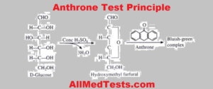 anthrone test principle