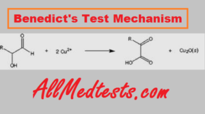 benedict's test mechanism