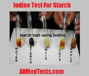 iodine test for starch