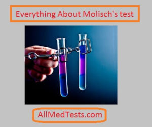 Molisch’s Test- qualitative test