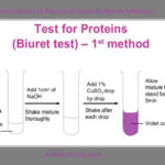 Determination of Plasma Protein by Biuret Method