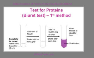 Determination of Plasma Protein by Biuret Method