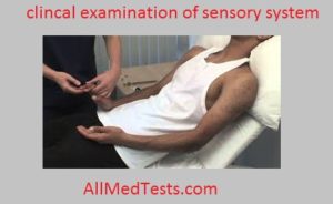 clincal examination of sensory system