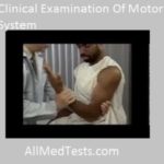 clinical examination of motor system