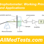 Spectrophotometer: Working Principle, Use and Applications