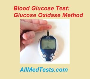 blood glucose test