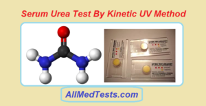 serum urea test